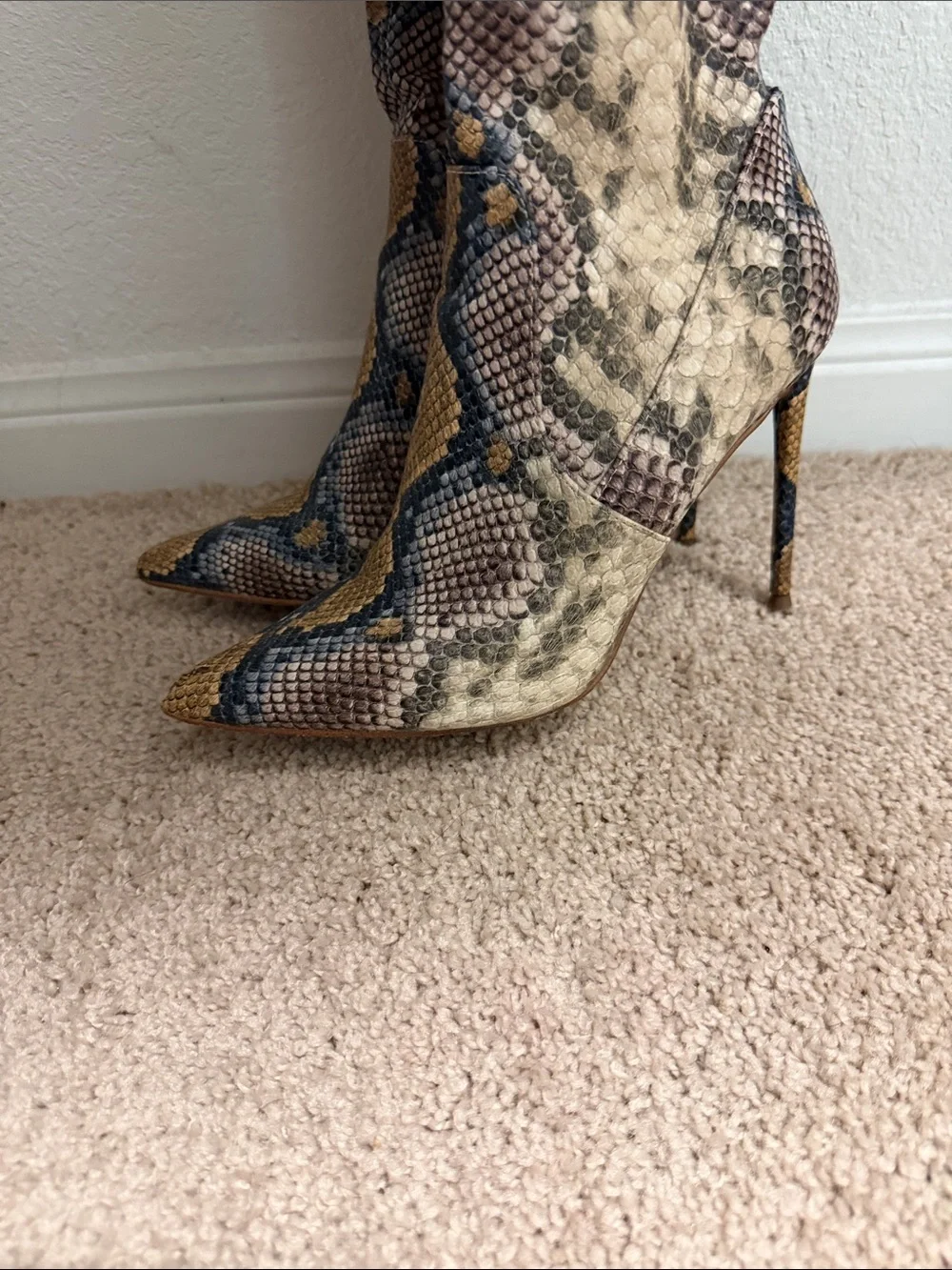 Steve Madden Multicolor Snake-Print Reptile Habitat Hide